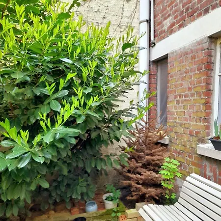 Au Jardin Mini * トゥールコワン
